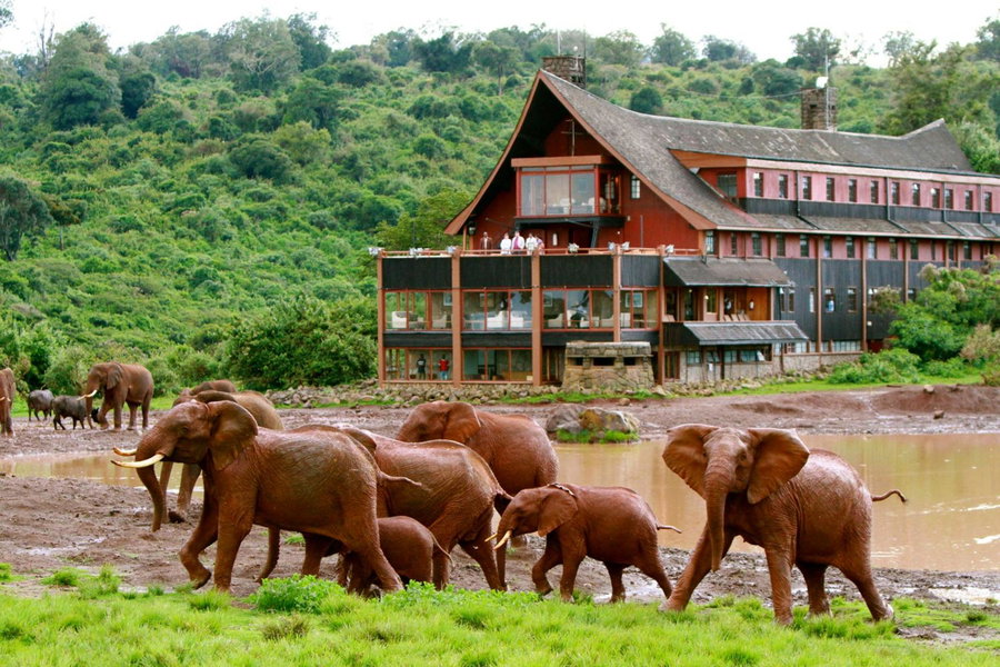 The Ark Lodge, Nyeri, Kenia