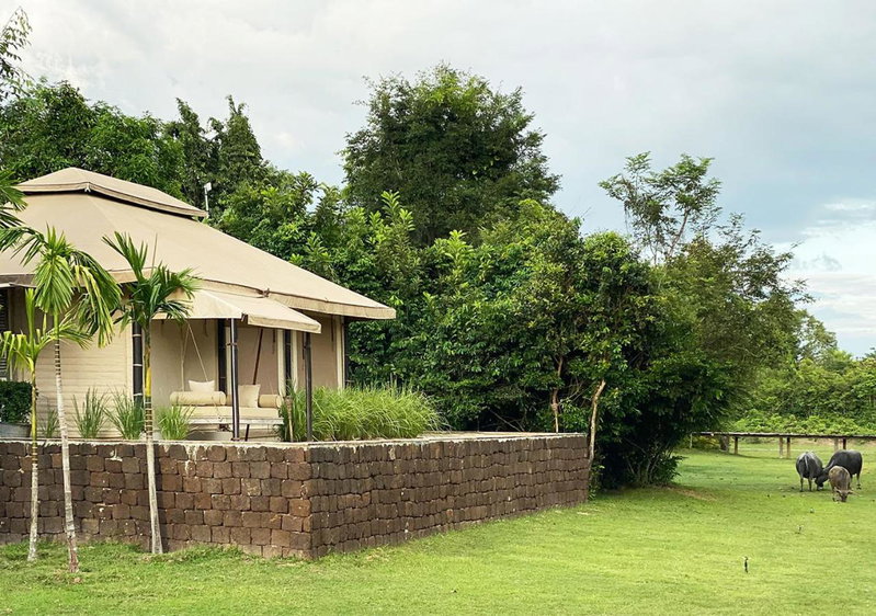 The Beige, Siem Reap, Cambodia