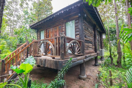 Bong Thom Forest Lodge, Siem Reap, Cambodge
