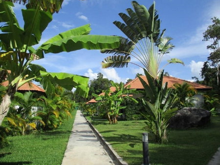 Saracen Bay Resort, Koh Rong Sanloem, Cambodge