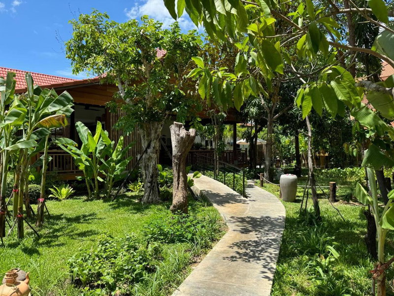 The Jungle, Siem Reap, Camboya