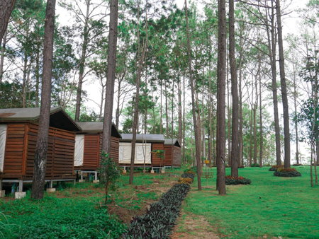 vKirirom Pine Resort, Chambok, Cambodia