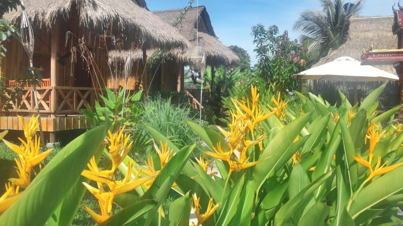 Bird of Paradise Bungalows, Kep, Cambodge