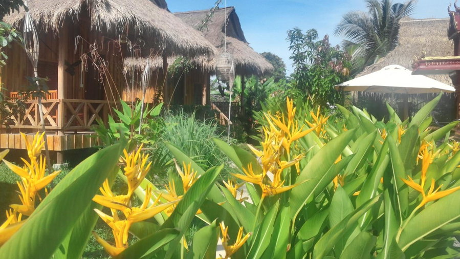 Bird of Paradise Bungalows, Kep, Cambodge