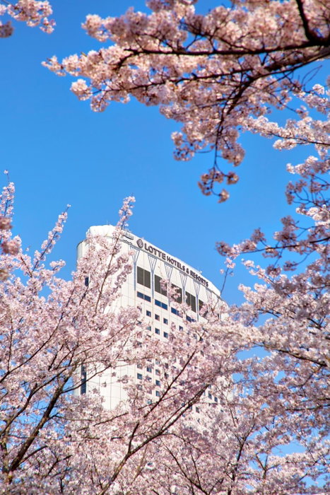 Lotte Hotel World, Seongnam-si, 대한민국