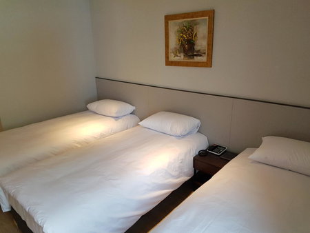 Hotel Thomas Myeongdong, Seoul, 대한민국
