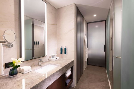 DoubleTree By Hilton Seoul Pangyo, Seongnam-si, 대한민국