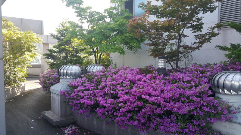 Hyundai Residence, Seoul, 대한민국