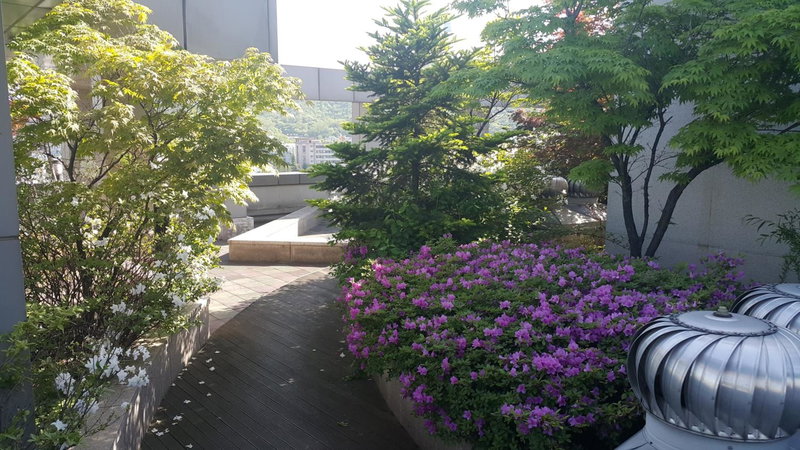 Hyundai Residence, Seoul, 대한민국