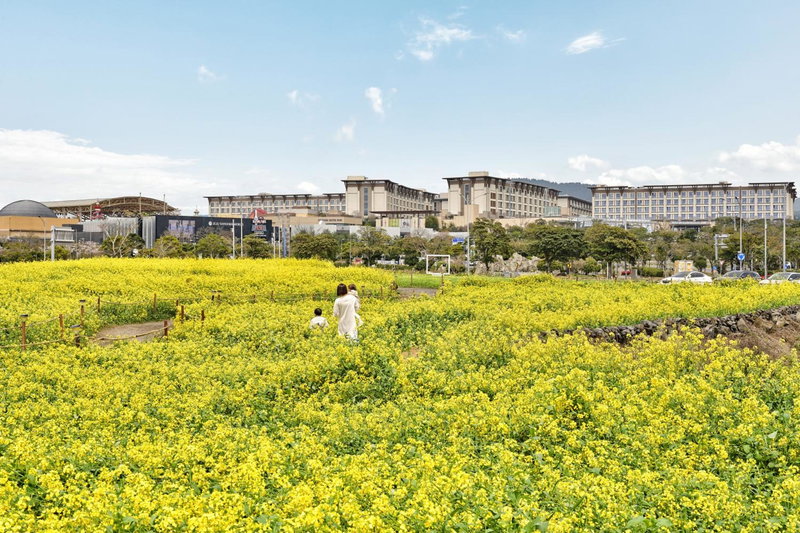 Landing Jeju Shinhwa World Hotel, Gaigeturi, 대한민국