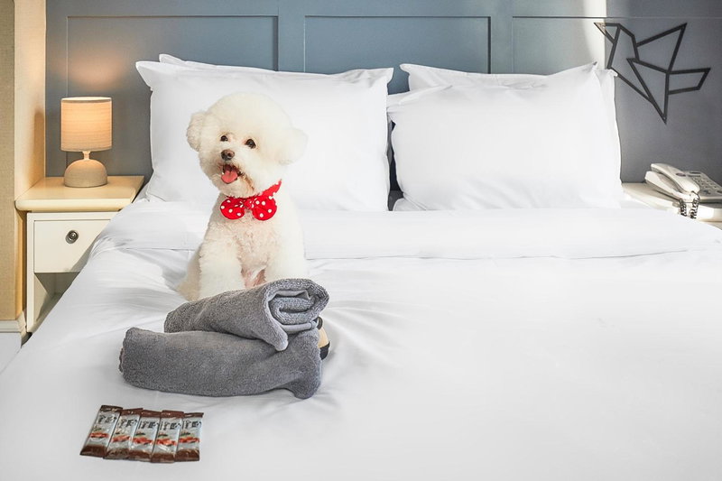 Hotel POCO Seongsu, Seoul, 대한민국