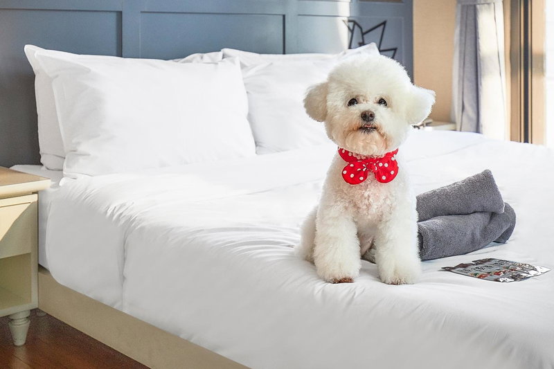 Hotel POCO Seongsu, Seoul, 대한민국
