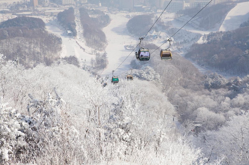 Phoenix Hotel Pyeongchang, Pyeongchang, 대한민국