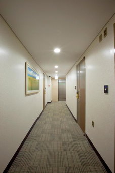 Hotel Daewoo Inn, Seoul, 대한민국