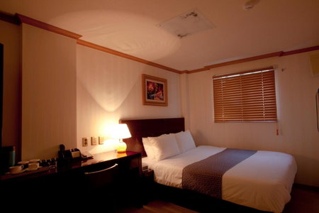 Hotel Daewoo Inn, Seoul, 대한민국