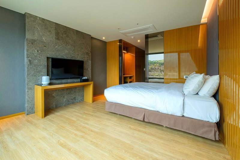 Traum Valley Hotel - formerly jeongseon intoraon hotel, T'aebaek, 대한민국