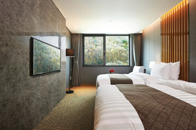 Traum Valley Hotel - formerly jeongseon intoraon hotel, T'aebaek, 대한민국