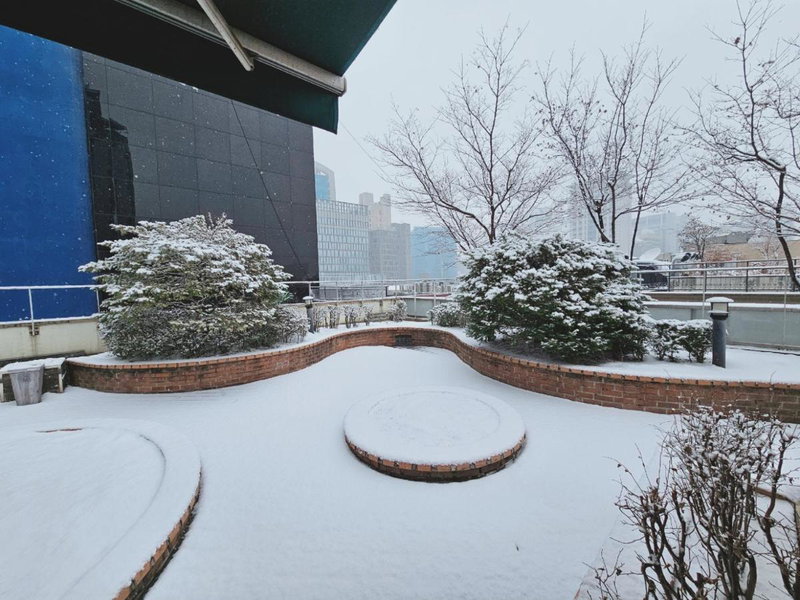 Ekonomy Hotel Myeongdong Premier, Seoul, 대한민국