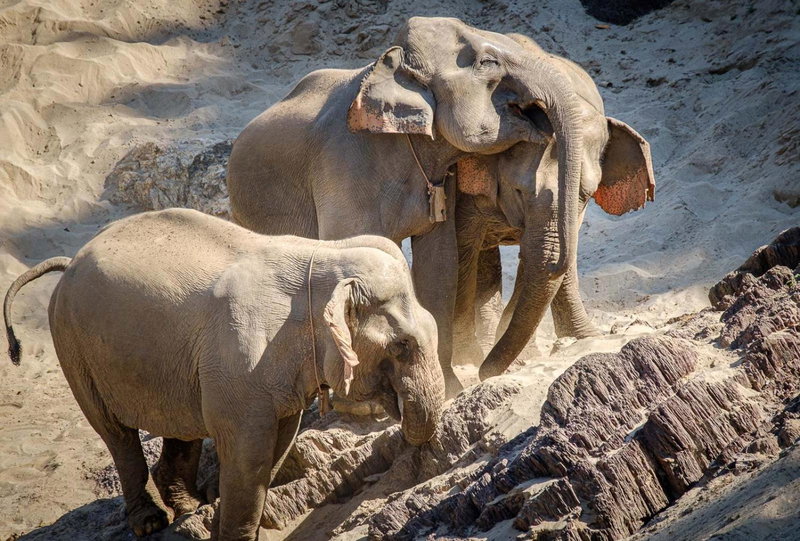 The Sanctuary Pakbeng Lodge, Pakbeng, Laos