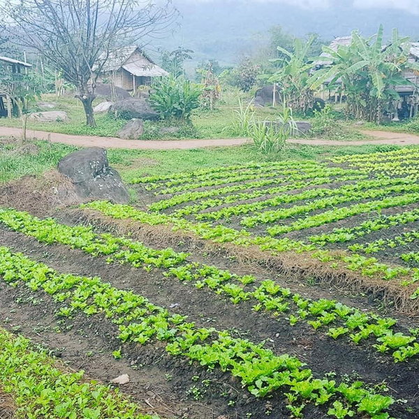 Namkat Yorla Pa Resort, Ban Kat, Laos