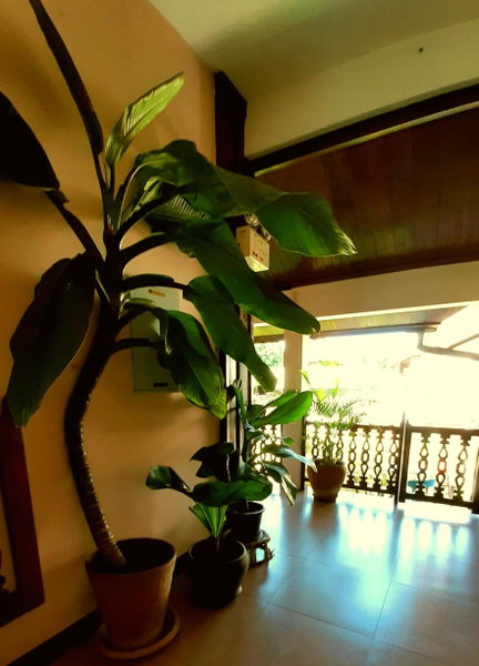 Pakhongthong Villa, Luang Prabang, Laos