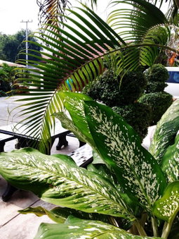 Phonepraseuth Guesthouse, Luang Prabang, Laos