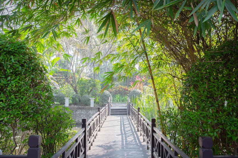 Parasol Blanc, Luang Prabang, Laos