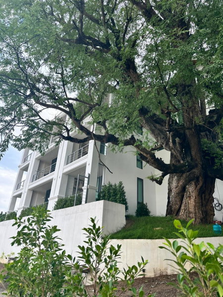 Sokview Residence, Luang Prabang, Laos