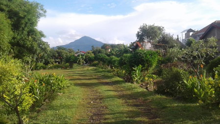 Xuanmai Garden Resort, Pakse, Laos
