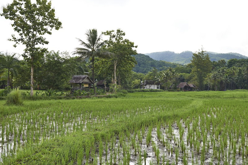 Santi Resort & Spa, Luang Prabang, Laos