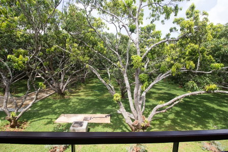 Sigiriana Resort by Thilanka, Dambulla, Sri Lanka