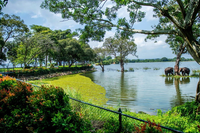 Hotel Sudu Araliya, Polonnaruwa, Sri Lanka