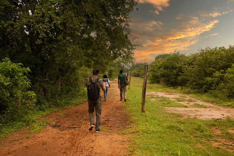 Big Game Udawalawe - by Eco Team, Udawalawe, Sri Lanka