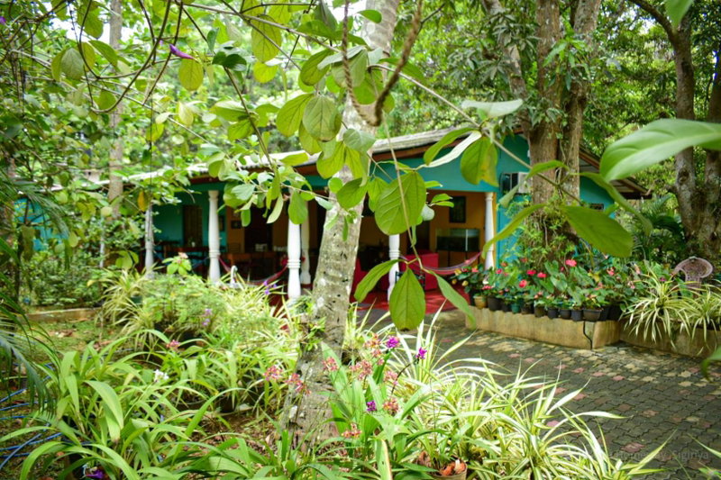 Palitha Homestay, Dambulla, Sri Lanka