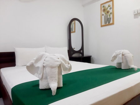 Palitha Homestay, Dambulla, Sri Lanka