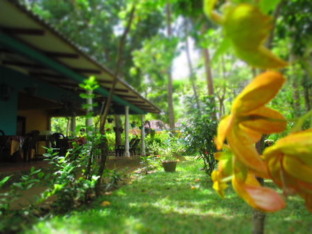Palitha Homestay, Dambulla, Sri Lanka