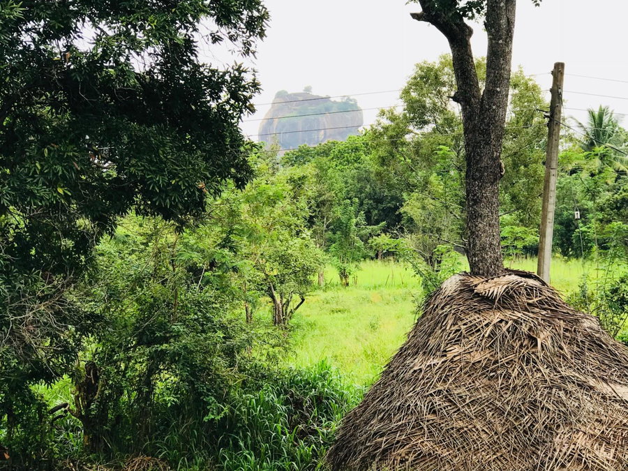 Sigiriya Rock Hide, Dambulla, Sri Lanka