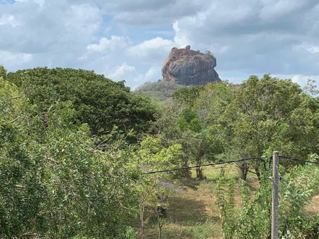 Sigiriya Rock Hide, Dambulla, Sri Lanka