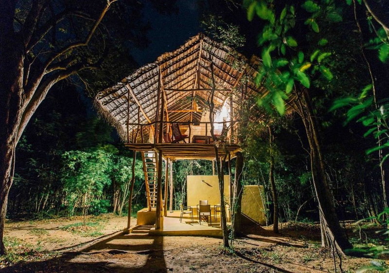 Back of Beyond - Jungle Hideaway, Pidurangala, Dambulla, Sri Lanka