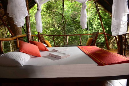 Back of Beyond - Jungle Hideaway, Pidurangala, Dambulla, Sri Lanka