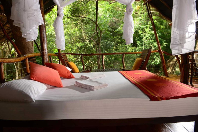 Back of Beyond - Jungle Hideaway, Pidurangala, Dambulla, Sri Lanka