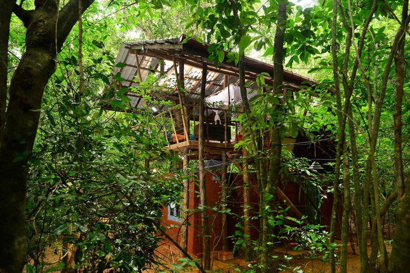 Back of Beyond - Jungle Hideaway, Pidurangala, Dambulla, Sri Lanka