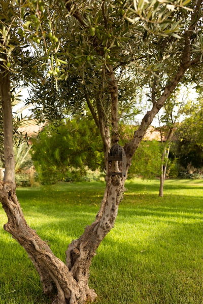 Domaine Des Remparts Hotel & Spa, Marrakesh, Morocco