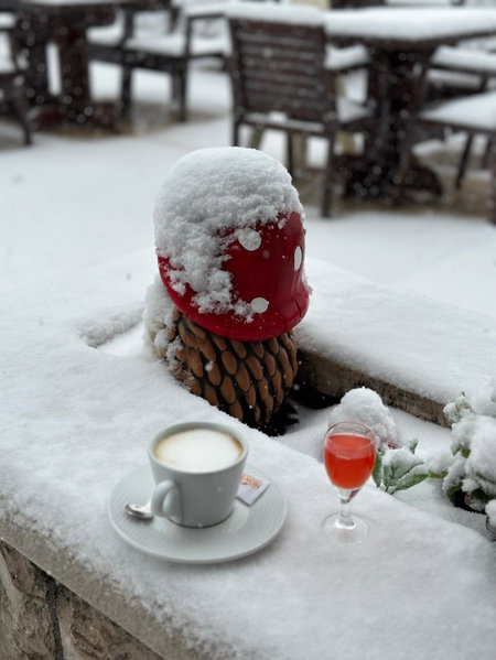 Hotel Monte Rosa, Cetinje, Montenegro