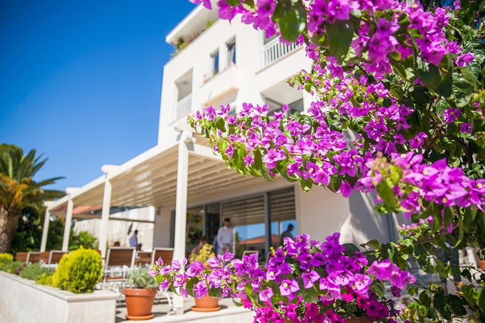 Boutique Hotel and Spa Blanc & Bleu - Blanche, Montenegro