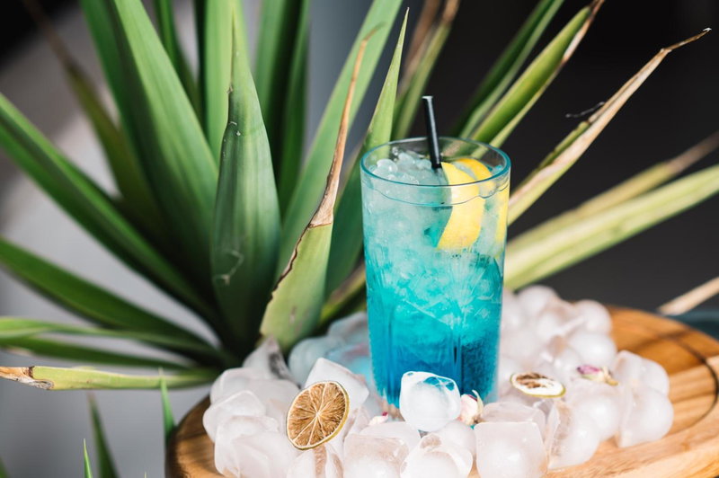 Villa Oleander, Bar, Черногория