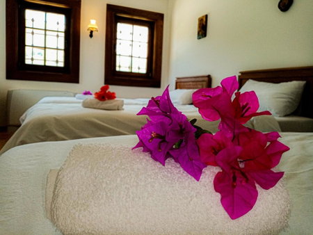 Guest Mansion, Гостински Палат, Rostuša, Macedonia del Norte