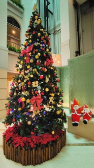 Hotel Guia, Macau, 澳门