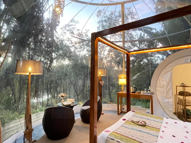 Bubble Lodge Bois Chéri Plantation, Bois Chéri, Maurice