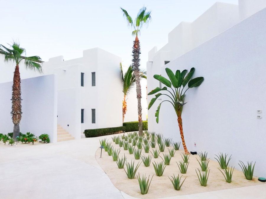 Marquis Los Cabos, an All - Inclusive, Adults - Only & No Timeshare Resort, San Jose del Cabo, México